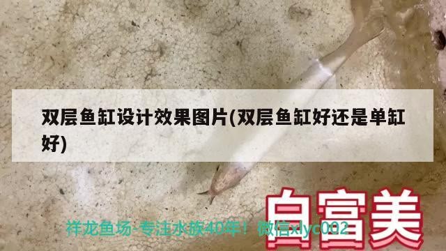 雙層魚缸設(shè)計效果圖片(雙層魚缸好還是單缸好)