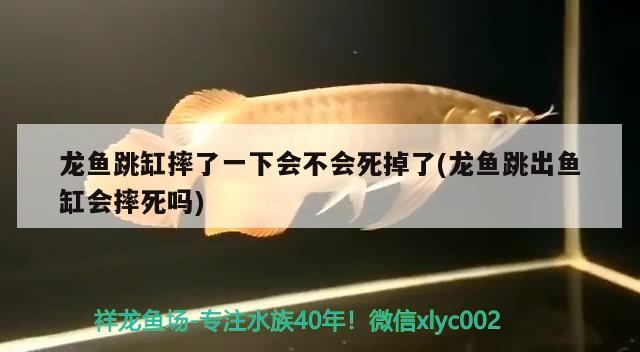 翹嘴魚養殖翹嘴紅翹嘴紅鲌7.科學管理根據季節技巧，翹嘴紅翹嘴養殖技術