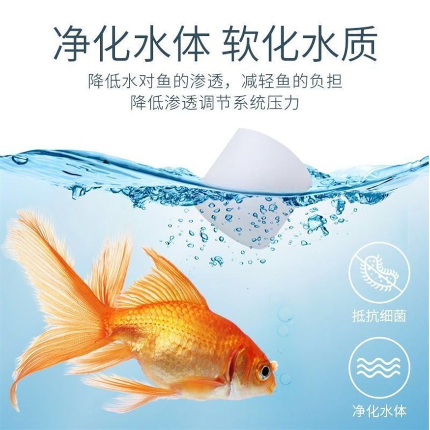 徹底清洗魚缸后要放鹽嗎視頻教學：徹底清洗魚缸后是否需要放鹽？