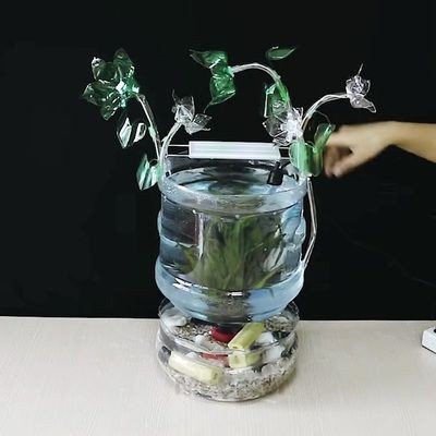 大礦泉水桶做魚缸：如何用大礦泉水瓶制作魚缸 大礦泉水桶做魚缸：如何用大礦泉水瓶制作魚缸 魚缸百科 第3張