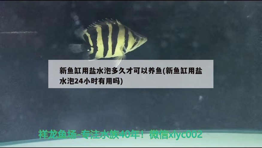 新魚缸用鹽水泡多久才可以養魚(新魚缸用鹽水泡24小時有用嗎)
