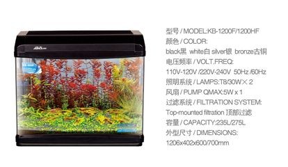 金魚缸多久需要徹底清一次怎樣防止金魚常見病：如何防止金魚常見病