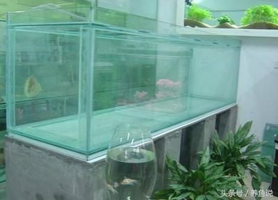 1.8米長0.6米寬0.7米高的魚缸用什么玻璃合適：1.8米寬0.7米高的魚缸用什么玻璃合適