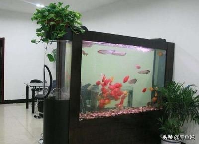 玻璃魚缸好嗎安全嗎:玻璃魚缸與亞克力魚缸的區(qū)別 魚缸百科 第1張 玻璃魚缸好嗎安全嗎:玻璃魚缸與亞克力魚缸的區(qū)別 玻璃魚缸好嗎安全嗎:玻璃魚缸與亞克力魚缸的區(qū)別 魚缸百科 第1張