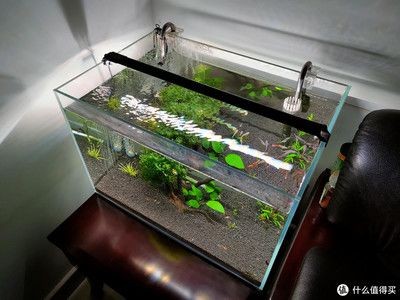 玻璃魚缸好嗎安全嗎:玻璃魚缸與亞克力魚缸的區(qū)別 魚缸百科 第2張 玻璃魚缸好嗎安全嗎:玻璃魚缸與亞克力魚缸的區(qū)別 玻璃魚缸好嗎安全嗎:玻璃魚缸與亞克力魚缸的區(qū)別 魚缸百科 第2張