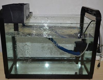 大魚(yú)缸清洗方法視頻：大魚(yú)缸清洗的文字方法都是從搜索結(jié)果中獲取的：磁力刷與傳統(tǒng)清洗 大魚(yú)缸清洗方法視頻：大魚(yú)缸清洗的文字方法都是從搜索結(jié)果中獲取的：磁力刷與傳統(tǒng)清洗 魚(yú)缸百科 第4張