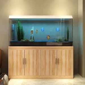 大型魚缸定制哪家好呢：大型魚缸定制服務公司推薦