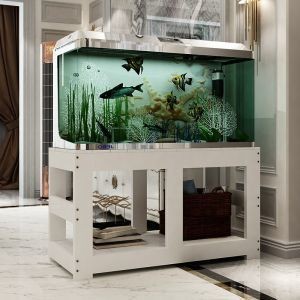 大型魚缸定制哪家好呢：大型魚缸定制服務公司推薦