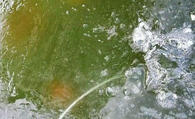 大魚缸怎么換水視頻：大魚缸怎么換水視頻教程:如何給魚缸換水正確的換水方法和步驟