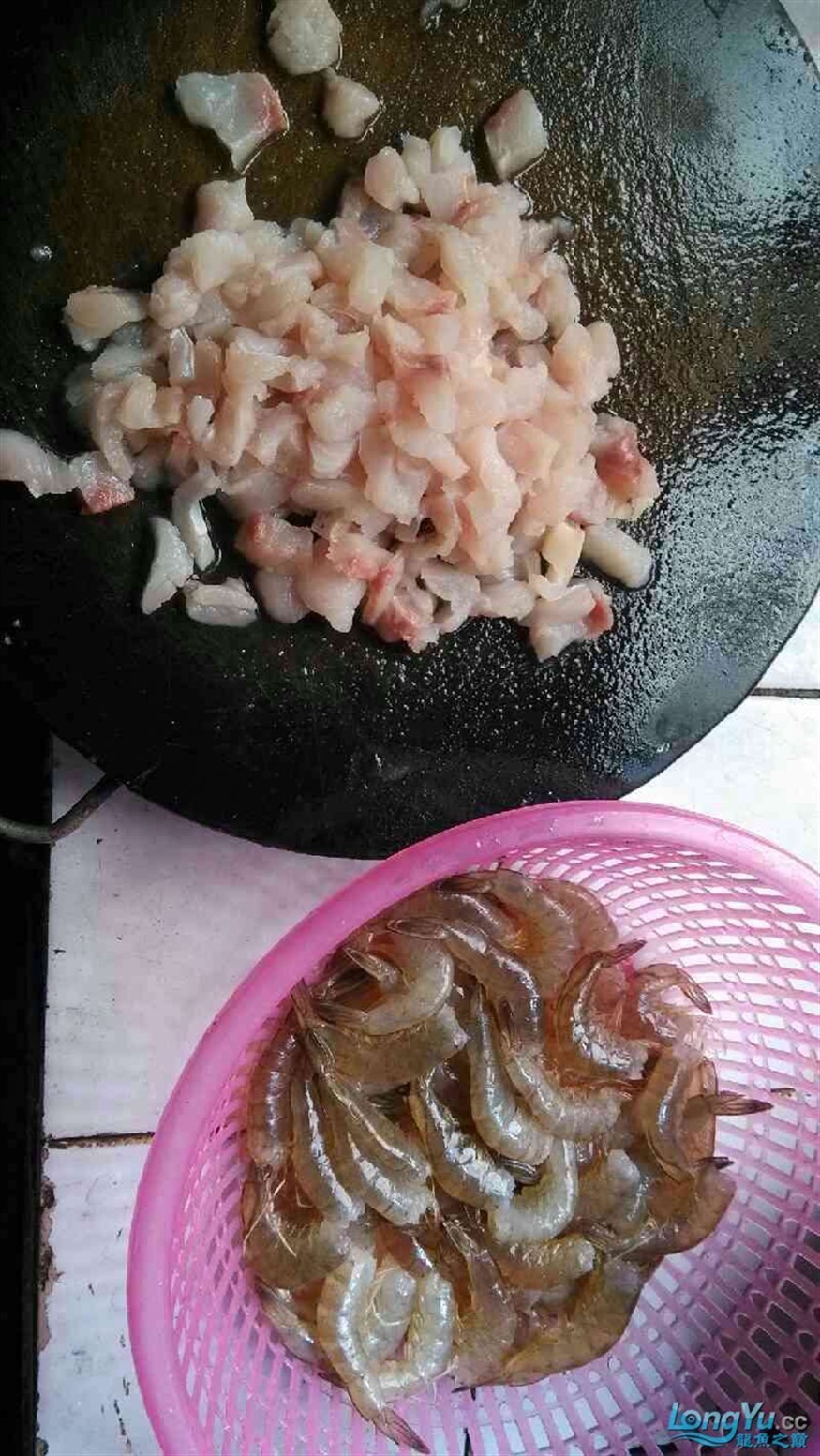 有人喂過龍虎這種魚肉么？
