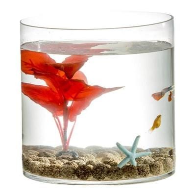 大型圓柱形魚缸怎么造景：圓柱形魚缸造景技巧 大型圓柱形魚缸怎么造景：圓柱形魚缸造景技巧 魚缸百科 第1張