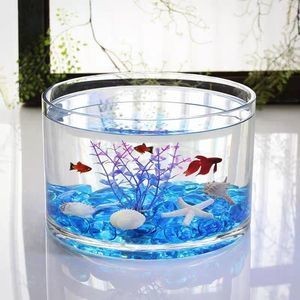 大型圓柱形魚缸怎么造景：圓柱形魚缸造景技巧 大型圓柱形魚缸怎么造景：圓柱形魚缸造景技巧 魚缸百科 第4張