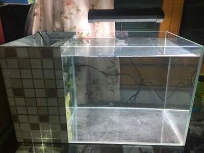 側(cè)濾魚缸如何改造水質(zhì)好：側(cè)濾魚缸側(cè)濾魚缸改造如何加強(qiáng)過(guò)濾水質(zhì)側(cè)濾魚缸改造