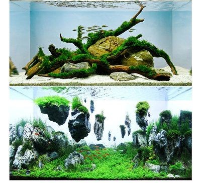 大型魚缸石頭造景效果圖：關于大型魚缸石頭造景的一些建議
