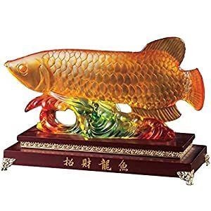 知名龍魚品牌大全