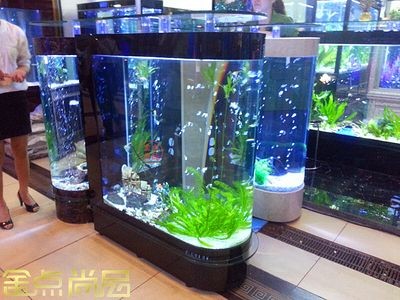 大型魚缸批發(fā)市場在哪里：北京西四魚批發(fā)市場（北京西四北大街）魚缸批發(fā)市場 大型魚缸批發(fā)市場在哪里：北京西四魚批發(fā)市場（北京西四北大街）魚缸批發(fā)市場 魚缸百科 第1張