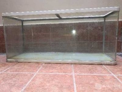 1.5米的魚缸用12厚的玻璃夠用嗎：1.5米的魚缸用12毫米厚的玻璃夠用嗎？ 1.5米的魚缸用12厚的玻璃夠用嗎：1.5米的魚缸用12毫米厚的玻璃夠用嗎？ 魚缸百科 第2張