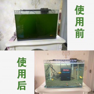 不用電過濾的魚缸：不用電過濾的魚缸可以通過自制過濾器的方式來實現 不用電過濾的魚缸：不用電過濾的魚缸可以通過自制過濾器的方式來實現 魚缸百科 第2張
