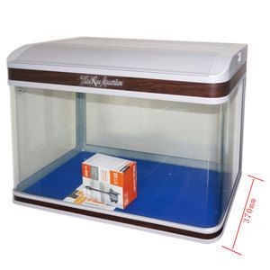 不用電過濾的魚缸：不用電過濾的魚缸可以通過自制過濾器的方式來實現 不用電過濾的魚缸：不用電過濾的魚缸可以通過自制過濾器的方式來實現 魚缸百科 第3張