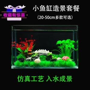 除了魚缸還有什么裝飾品：如何選擇魚缸裝飾