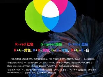 洛陽(yáng)市洛龍區(qū)風(fēng)調(diào)雨順?biāo)屦^（洛陽(yáng)市洛龍區(qū)風(fēng)調(diào)雨順?biāo)屦^電話）