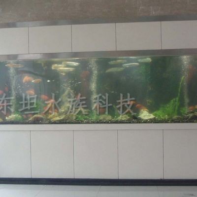 大型魚缸制作方法：大型魚缸制作大型魚缸制作注意事項大型魚缸制作注意事項 大型魚缸制作方法：大型魚缸制作大型魚缸制作注意事項大型魚缸制作注意事項 魚缸百科 第1張