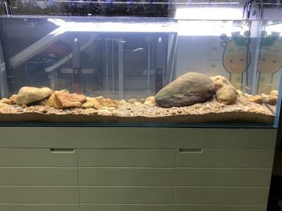 大型魚缸制作方法：大型魚缸制作大型魚缸制作注意事項大型魚缸制作注意事項 大型魚缸制作方法：大型魚缸制作大型魚缸制作注意事項大型魚缸制作注意事項 魚缸百科 第3張
