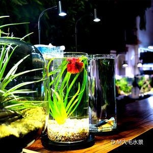 斗魚缸可以造景嗎：斗魚缸造景指南：如何選擇合適的造景材料在斗魚缸造景中