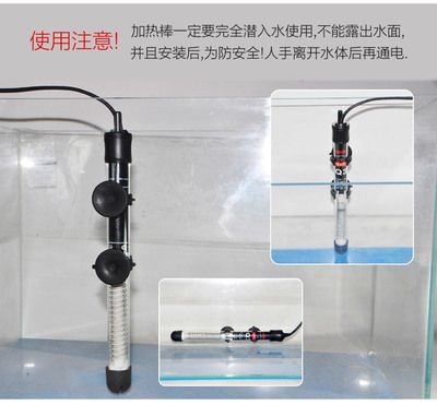 大型魚缸加熱棒加熱不開循環泵可以嗎：使用魚缸加熱棒加熱大型魚缸時