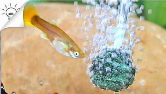 充氣筒可以往魚缸加氧氣嗎：充氣筒可以給魚缸加氧嗎？