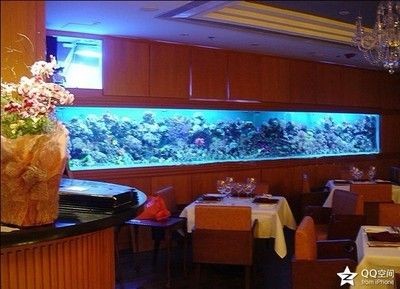 大型觀賞魚(yú)缸施工方案：大型觀賞魚(yú)缸施工方案包括以下幾個(gè)部分 大型觀賞魚(yú)缸施工方案：大型觀賞魚(yú)缸施工方案包括以下幾個(gè)部分 魚(yú)缸百科 第3張