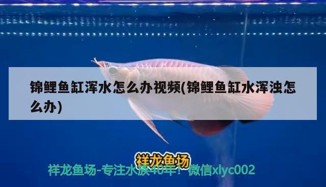虎魚大神麻煩幫忙解惑