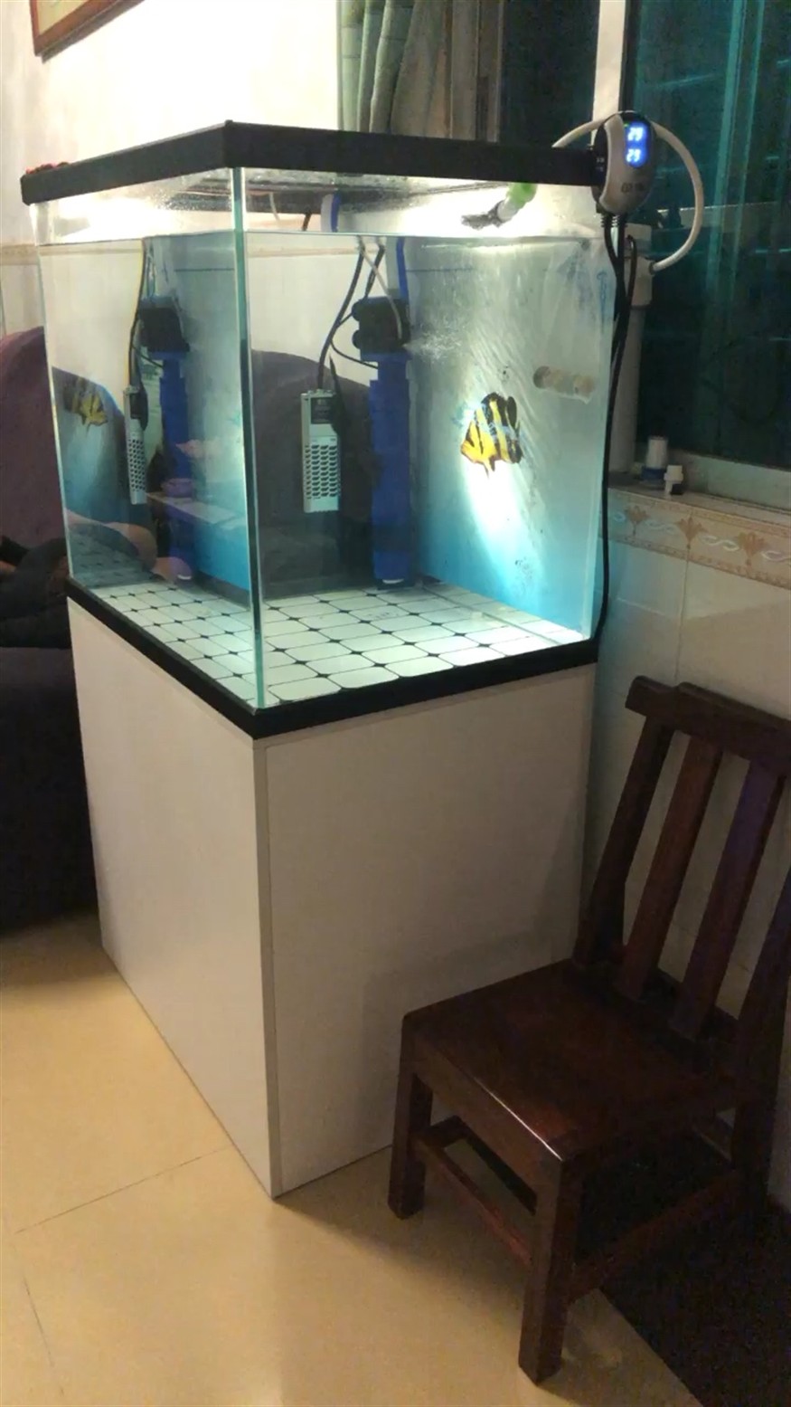 虎魚有那么羞
