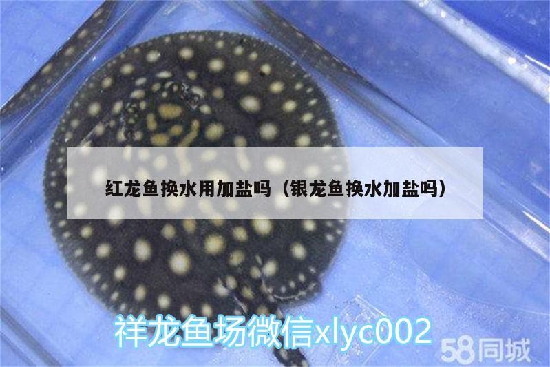 紅龍魚(yú)換水用加鹽嗎（銀龍魚(yú)換水加鹽嗎）