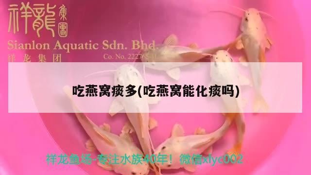 馬上倒缸了求購5條上流虎魚