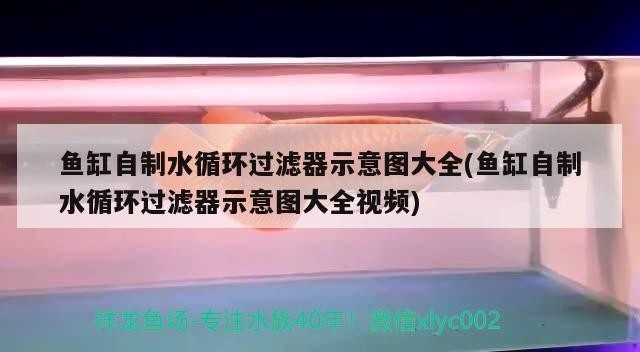 魚缸自制水循環過濾器示意圖大全(魚缸自制水循環過濾器示意圖大全視頻)