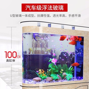 資中縣七彩水族館（資中縣七彩水族館電話）