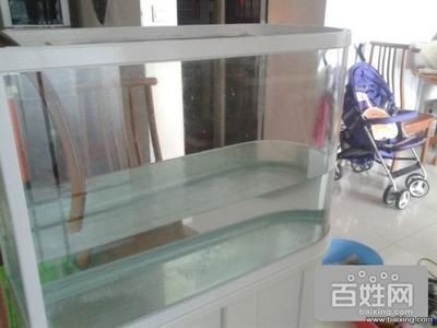 長治縣城光明南路宏達水族店（長治水族館電話）