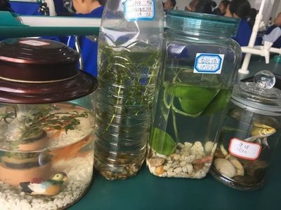 《魚缸里的生物課》：有聲書:《魚缸里的生物課》葛競著