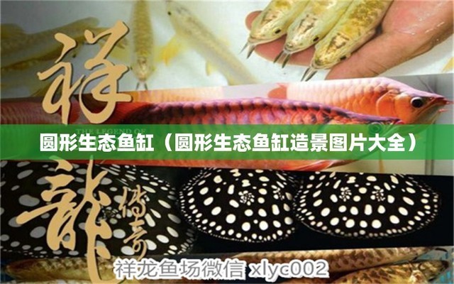 濟南槐蔭綠爾佳水族館（濟南槐蔭綠爾佳水族館怎么樣）