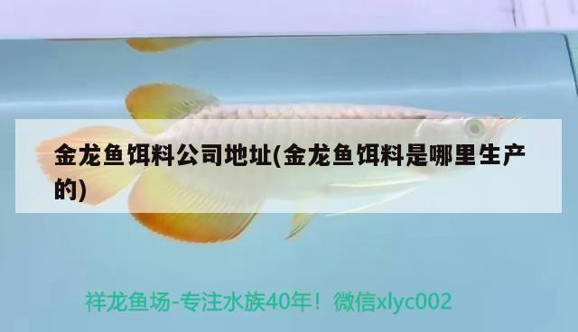 金龍魚+虎魚+攀鱸