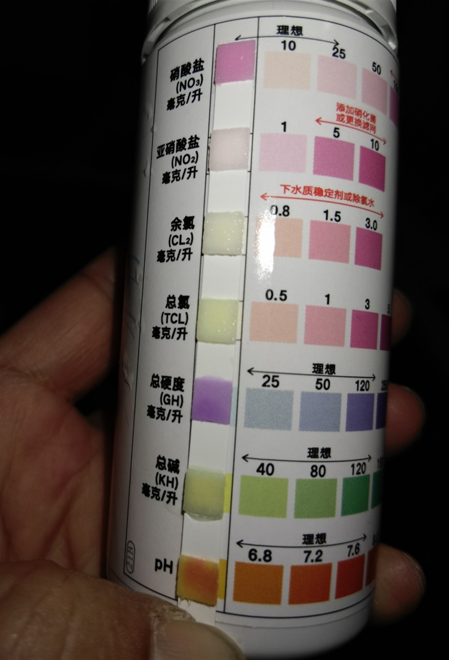 給位前輩給小弟看看魚缸硝酸鹽和硬度偏<strong><mark>高要</mark></strong>緊嗎？龍魚虎魚吃食都正常