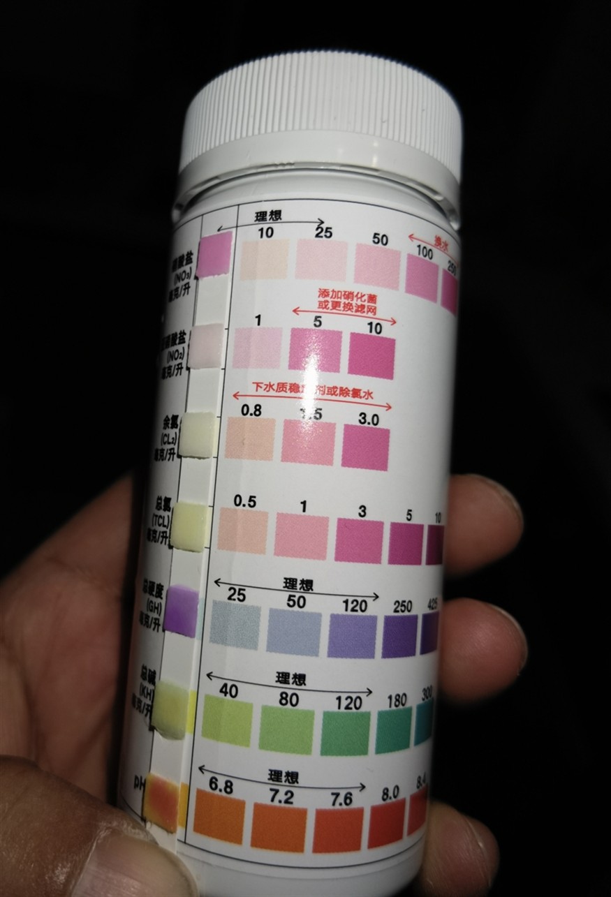 給位前輩給小弟看看魚缸硝酸鹽和硬度偏高要緊嗎？龍魚虎魚吃食都正常