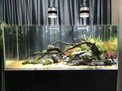 定做魚缸怎么簽合同呢