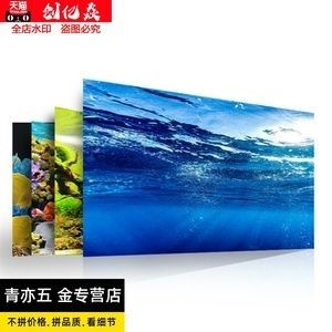 動森魚缸大小：《動物之森》如何選擇合適的魚缸大小
