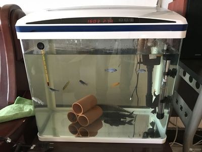 1.2米魚缸需要什么基本配件 1.2米魚缸需要什么基本配件 魚缸百科 第1張