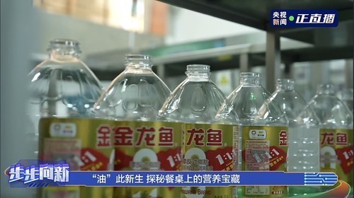 我的虎魚真菌感染了要怎么處理 紅龍魚多久長(zhǎng)大成型一次(紅龍魚多久長(zhǎng)大成型一次啊) 紅龍魚百科 紅龍魚多久長(zhǎng)大成型一次(紅龍魚多久長(zhǎng)大成型一次啊) 紅龍魚多久長(zhǎng)大成型一次(紅龍魚多久長(zhǎng)大成型一次啊) 紅龍魚百科