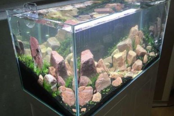 1米0.450.8的魚缸裝多少升水：1米 1米0.450.8的魚缸裝多少升水：1米 魚缸百科 第2張