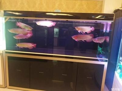 寵物用品魚缸水族箱怎么用的啊
