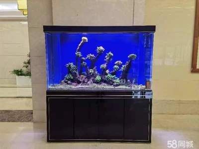 寵物用品魚缸水族箱怎么用的啊